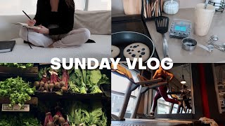 SUNDAY VLOG: slow but productive reset, cozy morning, grocery haul, new Gymshark sets & workout