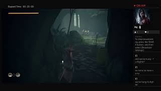 Absolver but Kung-fu isn't my strong suit