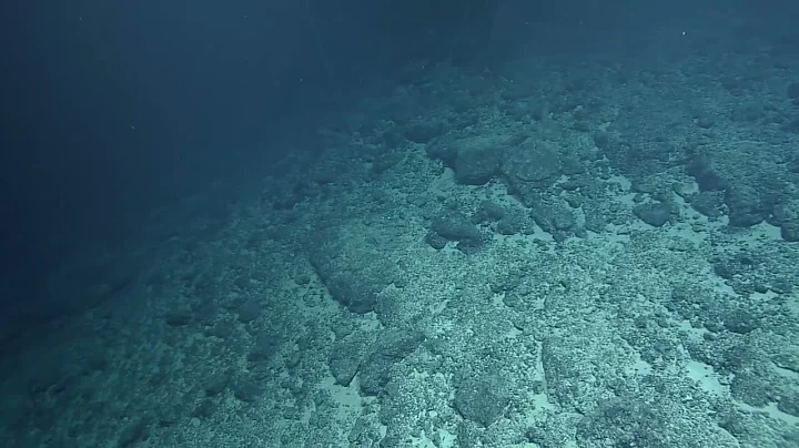 NA154_H2008_(3of12)_20230921T024603Z.mp4