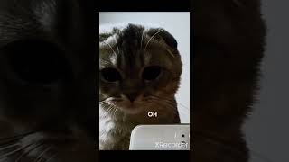 THAT'S À BOOTY BITCH !