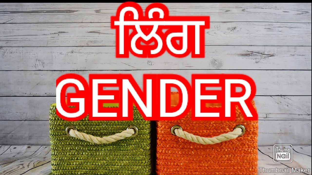 ਲਿੰਗ GENDER ਪੰਜਾਬੀ ਵਿਆਕਰਣ PUNJABI VYAKARAN LEARN PUNJABI GRAMMER