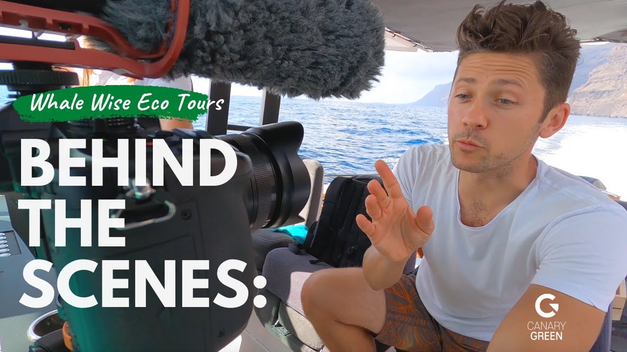 Los Gigantes Whale Watching - Sustainable Tourism in Tenerife