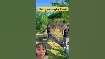 Hàng rào bằng cây hơn 50.000.000 khi đắt giá tại Trung Quốc