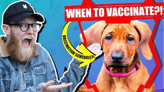 When Should My RIDGEBACK Get Their Vaccination