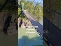 Остров Патмос в Чемале #патмос #чемал #алтай2024 #shorts