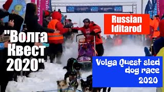 Volga Quest sled dog race START | 