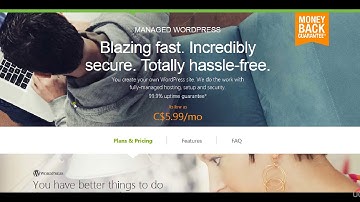 Video 9 Live Setup   Niche Domain Hosting Theme