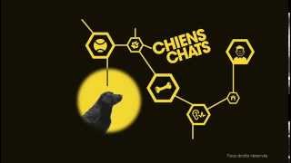 Exposition Chiens Chats - Cité Des Sciences