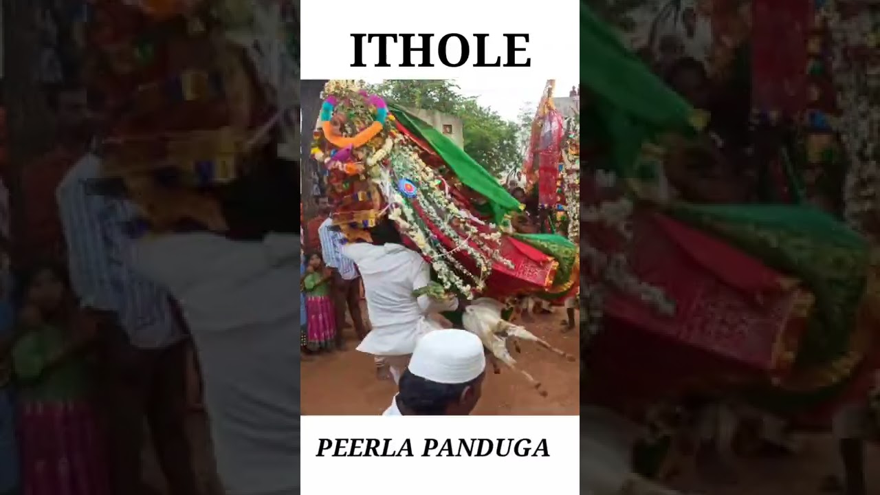 PERRLA PANDUGA VIDEOS PERRLA PANDUGA WHATSAPP STATUS VIDEOS