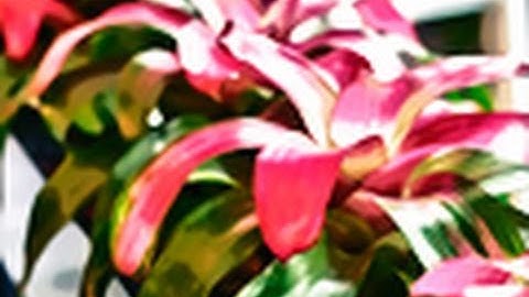 Photoshop Question: Watercolor Images |