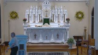 The Mind-Blowing Truth of the Eucharist: Why We Believe in the Real Presence
