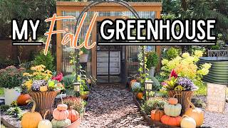 Decorating My Greenhouse for Fall 🍂 Pumpkins, Mums & an Abundant Fall Display