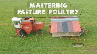 Mastering Pasture Poultry Egg Layers