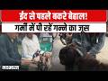 MP News: ईद से पहले बकरों की VIP ट्रीटमेंट! मालिकों ने निकाला अनोखा उपाय! | Navbharat Live | Eid