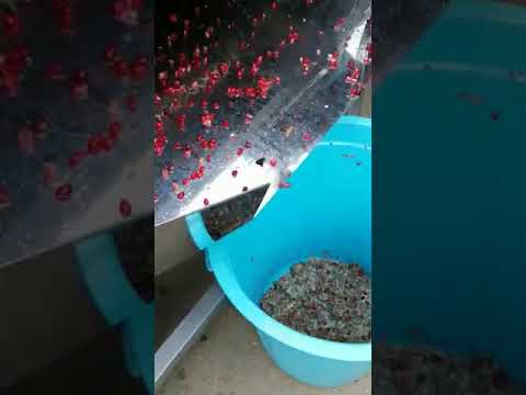 انار دونه کن