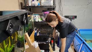 Setting up my new Fluval Flex 9 Gallon!!!