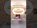 Daily yoga practice , Yogmudra benifits #shorts #shortvideo