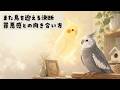 【また鳥を迎える決断】罪悪感との向き合い方（EP.198）