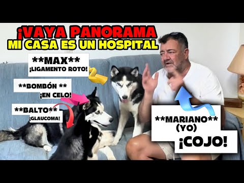 Max ligamento roto, Balto glaucoma, Bombón en celo y Mariano (yo)  cojo: ¡VAYA PANORAMA!