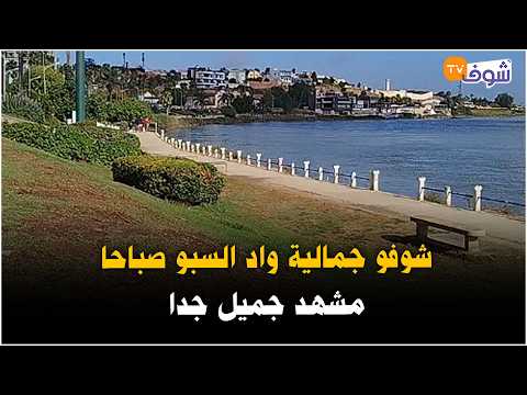 Live from Kenitra: See the beauty of the Sebou River in the morning... A very beautiful sight