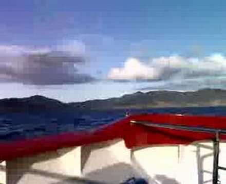 jet boat bay of islands offshore jet boat ride on mack attack bay of islands jet boat bay of islands offshore jet boat ride on mack attack bay of islands