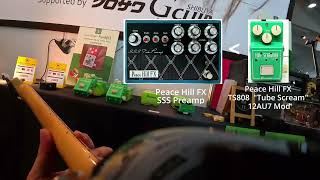 Peace Hill FX TS808 