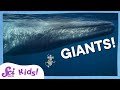 Real life giants  scishow kids compilation