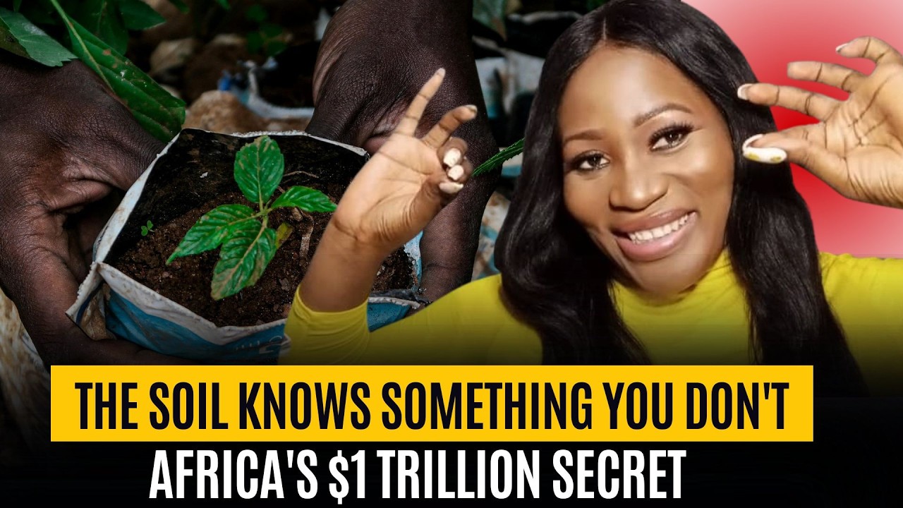 The 10 Most Profitable Crops In Africa That No Body Is Growing Yet!