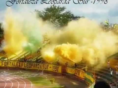 Ver video de A ti leopardo