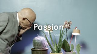 Pion - Bulbo 201415 Dk