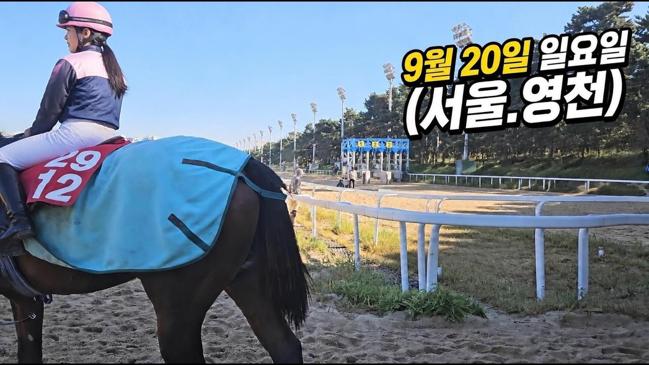 [ 2026년 9월 20일 일요(서울.영천)경마~!]