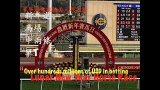 【🇭🇰🏇🏼賽馬日🧧Horse Race】Lunar New Year Horse Race in #hongkonghorseracing #horseracing #hongkongtourism