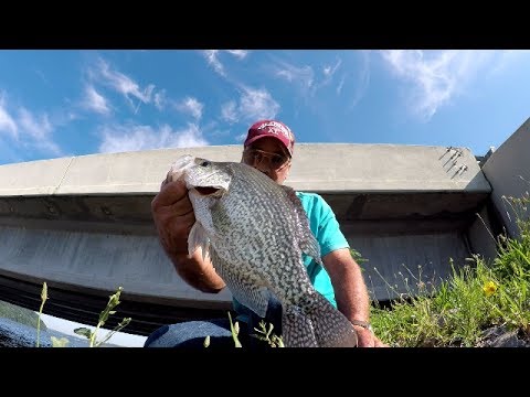Summertime Crappie Fishing From The Bank - YouTube