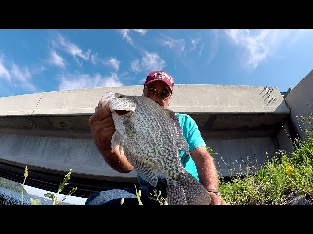 Summertime Crappie Fishing From The Bank 