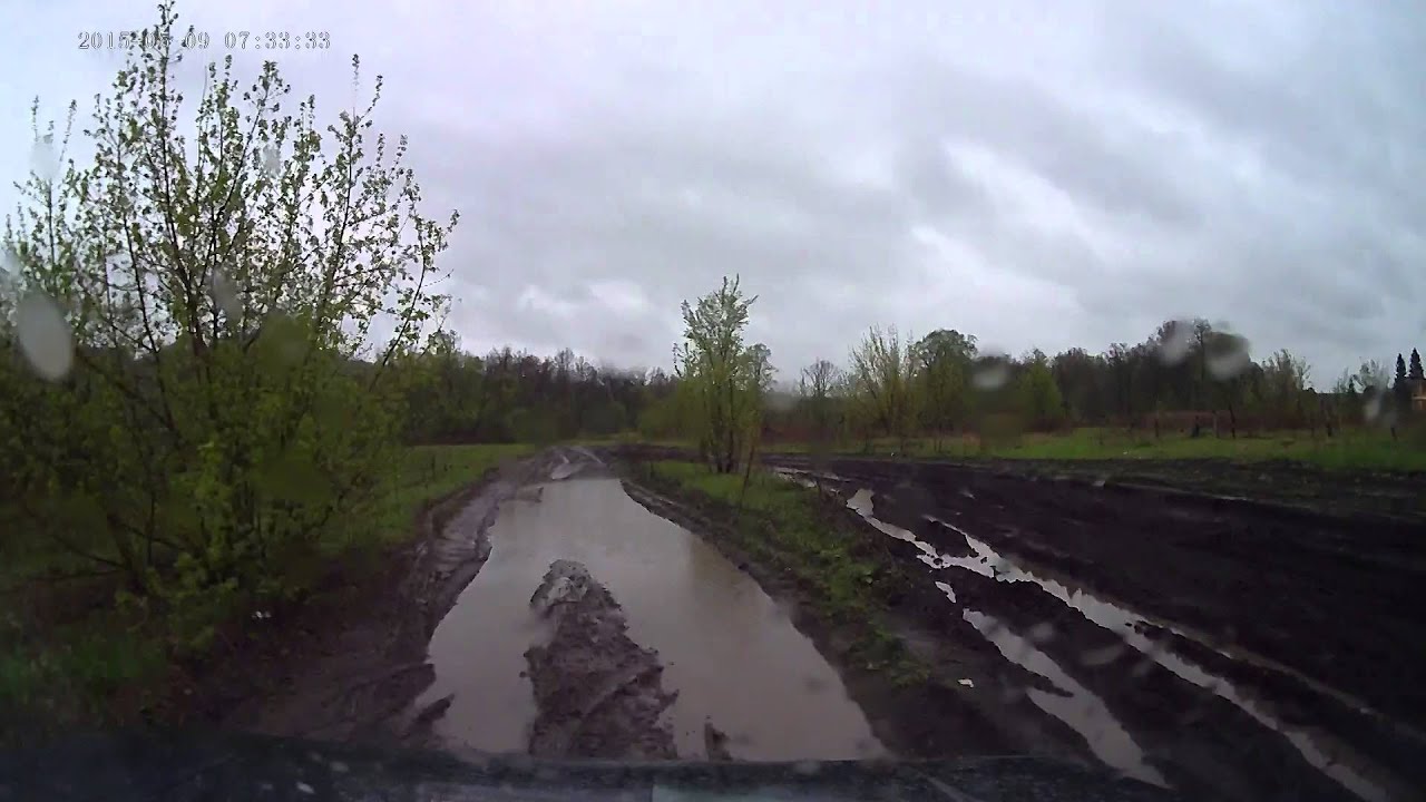 Экскурсия по ниве