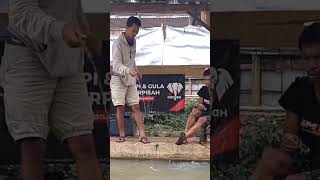 strike bawal babon bikin iri tetangga#shorts