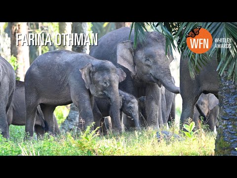 Farina Othman 2025 Whitley Award Winner Malaysia