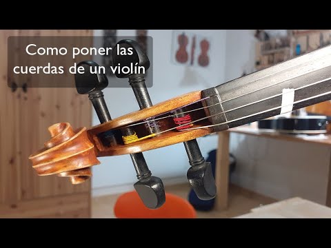 Como poner la cuerda de un violin, viola o violonchelo