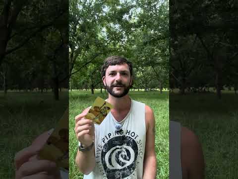 💰 Building a Stable Life Without Losing Your Joy 🌿