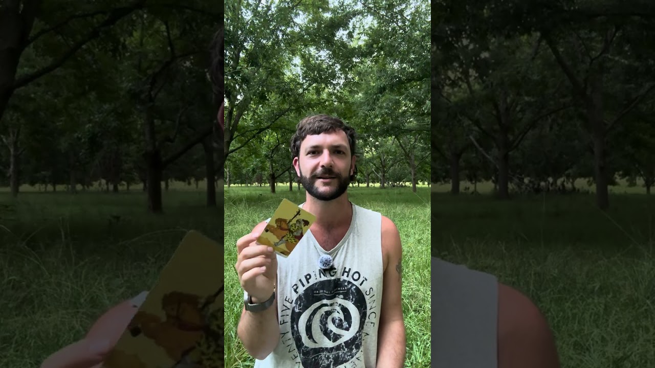 💰 Создание стабильной жизни без потери радости 🌿