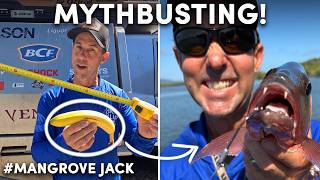 Why I Brought a Banana and a Tiny Boat to Chase Mangrove Jack