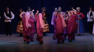 11 - Даргинский танец Горный ручей. ОВХА Северная Мозаика. Юбилейный концерт 20 лет. 2014 год