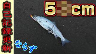 [巨大!?]5◯cmのサクラマスでテンションがぶち上がる！！！！