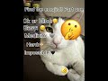 Find the emojis #aria #catfunny #ariaedit