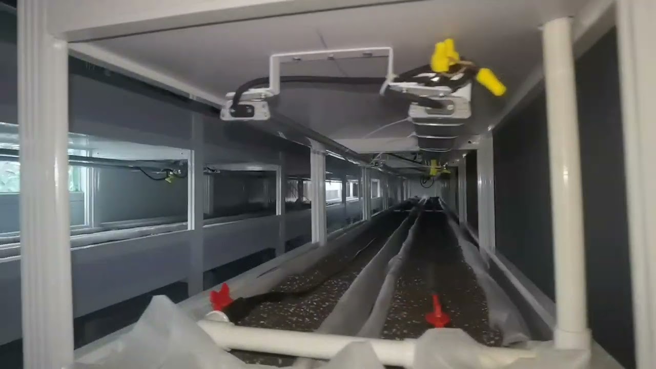 Shipping Container Hydroponics Agriculture For Sale | Hydroponics China Container Vertical Farming