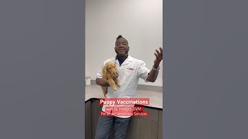 Questions about puppy vaccinations? 🐶 Dr. Hodges of PetSmart Veterinary Services is here to help!