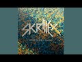 Download Lagu Skrillex feat. Poo Bear - Would You Ever (Audio)