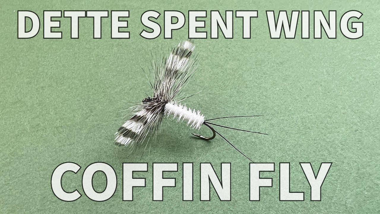 Dette Spent Wing Coffin Fly
