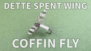 Dette Spent Wing Coffin Fly