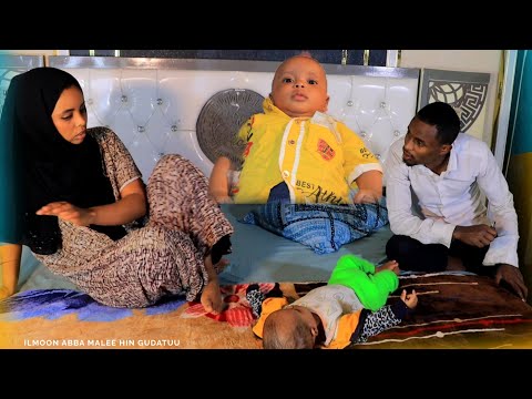 Caltuun Ilmo Narrat Gatte Tariba Deemte Ilmo Kana Narra Baasi Jedhee Musxafa Rifachise